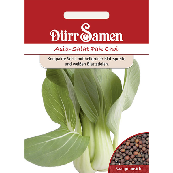 Asia-Salat Pak Choi Saatgut von Dürr Samen