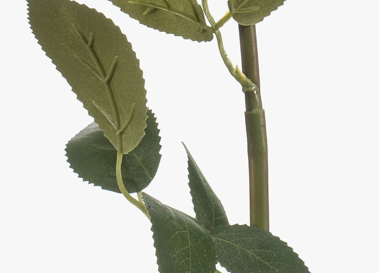 Künstliche Strelitzie im schwarzen Kunststofftopf mit großen grünen Blättern.