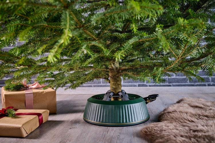 Weihnachtsbaum in Christbaumständer mit Geschenken