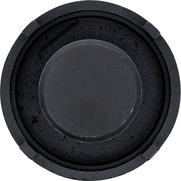 Detailaufnahme einer Fetthenne-Pflanze