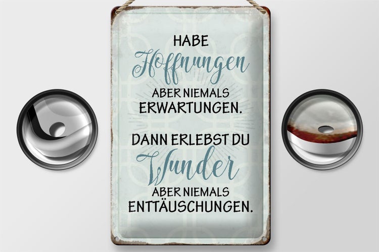 Blechschild Spruch 20x30cm habe Hoffnungen nie Erwartungen
