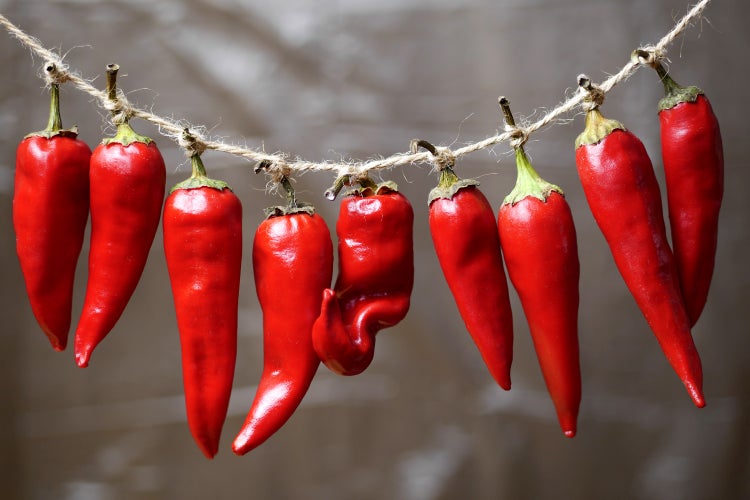 SAFLAX Geschenk Set - BIO - Chili - Barak - Capsicum annuum - 15 Samen - Mit Geschenkbox, Versandaufkleber, Geschenkkarte und Anzuchtsubstrat