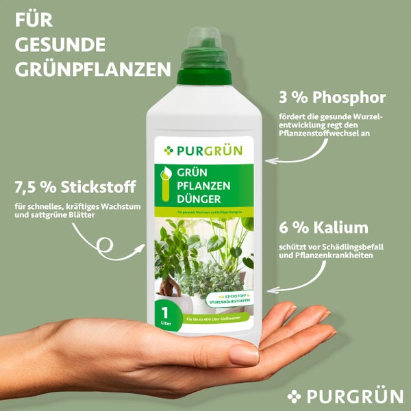 Purgrün Grünpflanzendünger 1 Liter