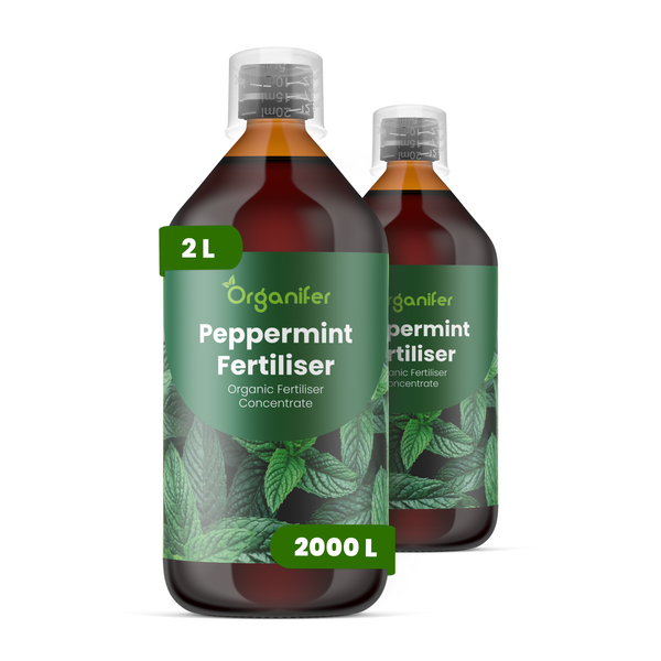 Organifer Pfefferminz-Dünger, organisches Düngerkonzentrat, zwei Flaschen, 2 Liter.