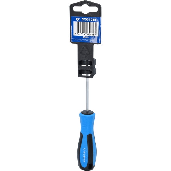 BRILLIANT TOOLS Schraubendreher TORX T8 x 100 mm - BT031039