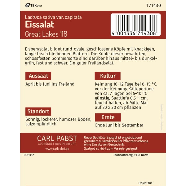 Eissalat groß & fest Great Lakes Samen von Pabst Keimkraft