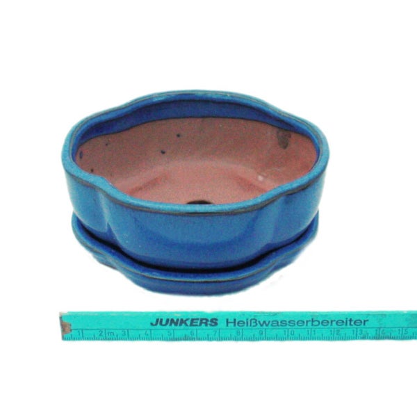 Bonsai-Schale mit Unterteller  Gr. 1 Blau  haitang/oval  Modell I5 L 12cm B 9,5cm H 4,5 cm
