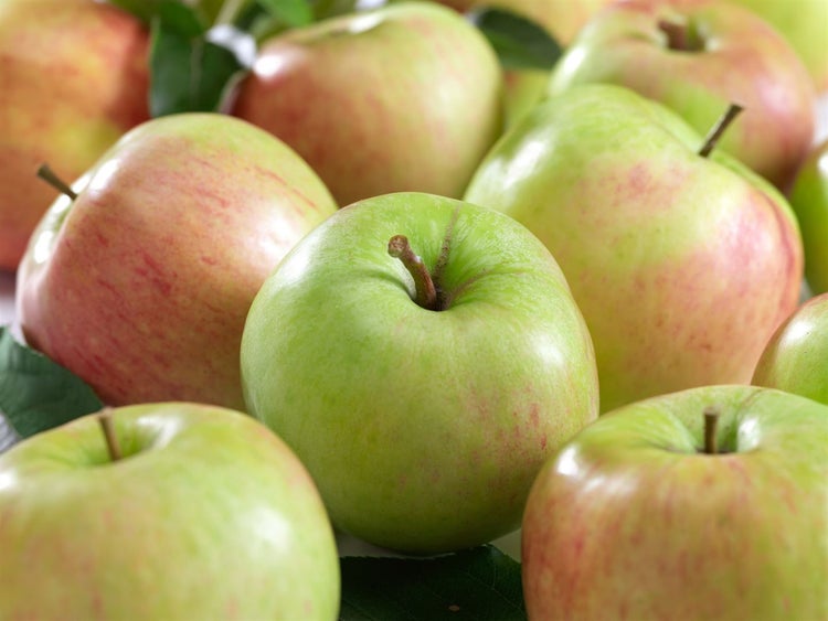 Malus 'James Grieve', Apfelbaum, 150–200 cm, saftig-süß