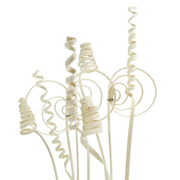 Dekorative Cane Springs aus Naturholz in Spiralform für Gestecke und Dekoration.