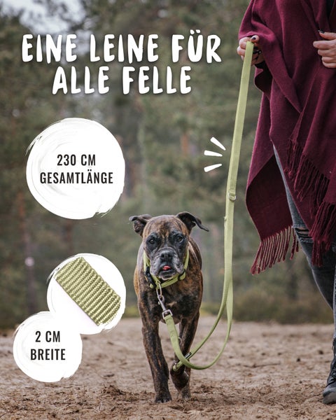 Hund mit 230 cm langer und 2 cm breiter Hundeleine