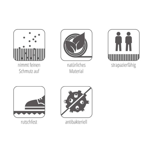 Symbole für Schmutzaufnahme, natürliches Material, Strapazierfähigkeit, Rutschfestigkeit und antibakterielle Wirkung