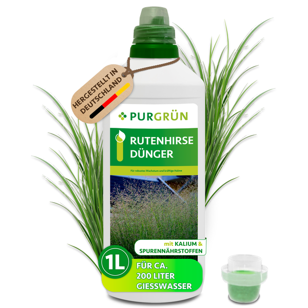 Eine Liter Flasche Purgrün Rutenhirse Dünger für gesundes Pflanzenwachstum mit Dosierkappe vor einer Rutenhirse Pflanze.