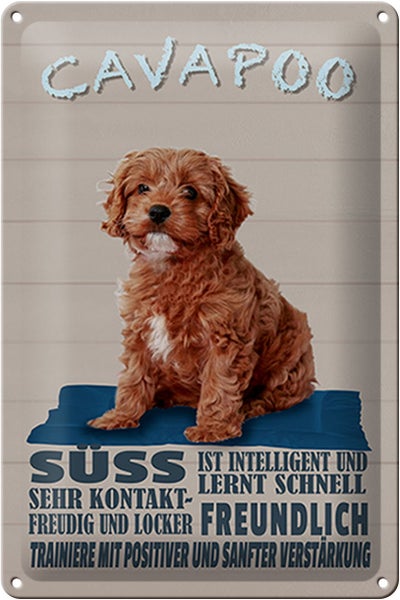 Blechschild Spruch 20x30cm Cavapoo Hund süss freundlich