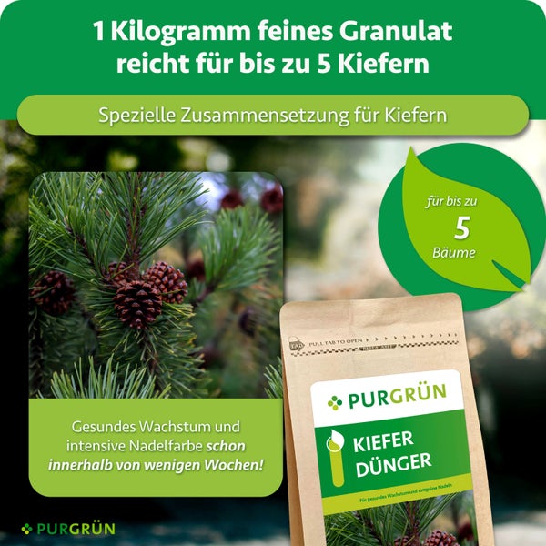 Purgrün Kieferndünger als Granulat für gesundes Wachstum und Nadeln, Packung reicht für bis zu fünf Bäume.