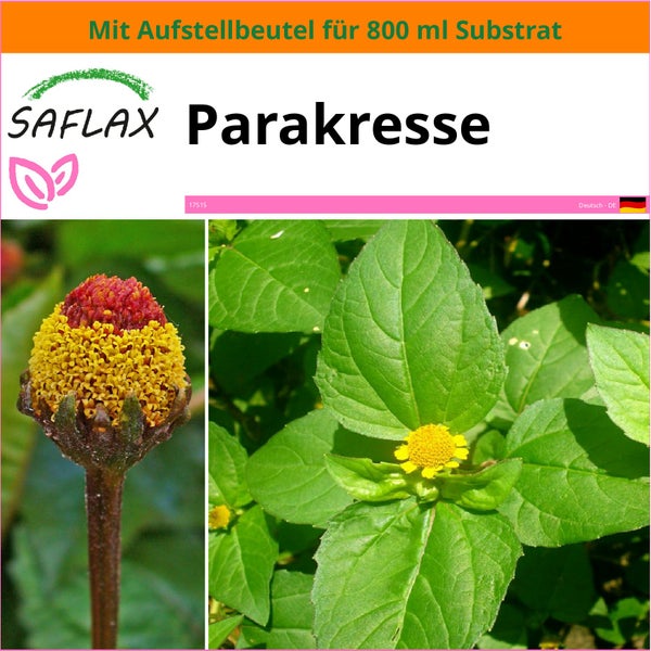 SAFLAX Garden in the bag - Parakresse - Acmella oleracea - 500 Samen - Mit Anzuchtsubstrat im praktischen, selbst aufstellenden Beutel