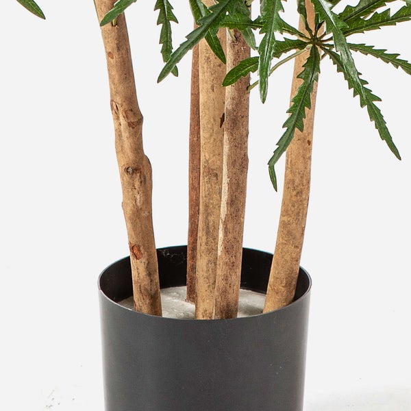 Künstliche Lorbeerblätter an einem Zweig mit braunen Knospen in Nahaufnahme.