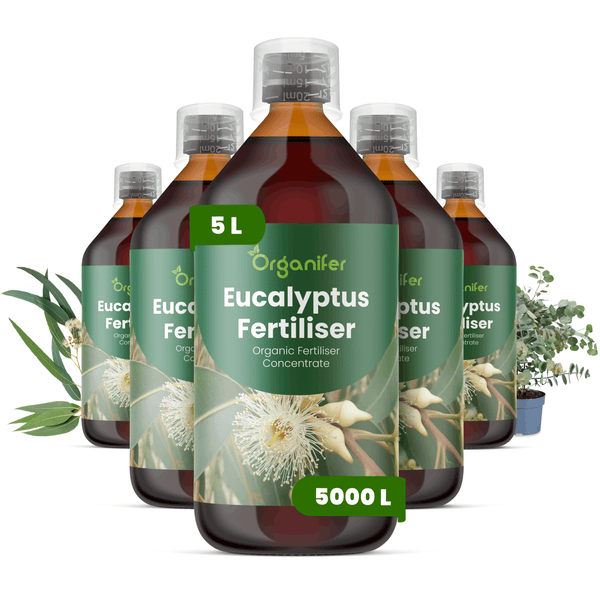 Fünf Flaschen Organifer Eukalyptus Dünger, jeweils 5 Liter, organisches Düngerkonzentrat für bis zu 5000 Liter.
