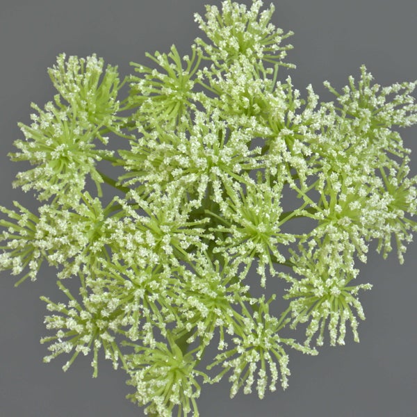 Unterer Teil einer Pflanze mit braunen Stämmen in einem schwarzen Kunststofftopf.