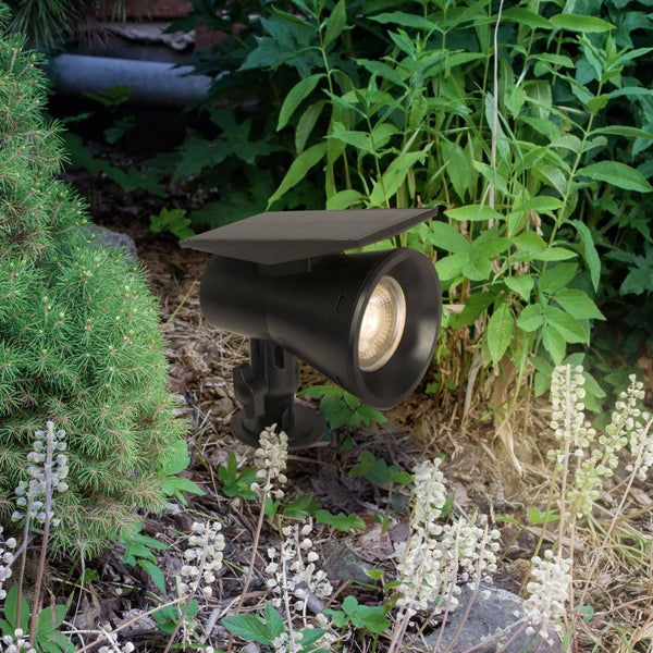 Frau benutzt Rasentrimmer im Garten