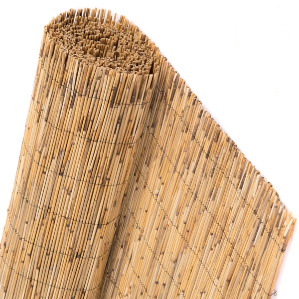 Sichtschutzmatte Aroa  60x160 cm, Schilfrohr naturfarben