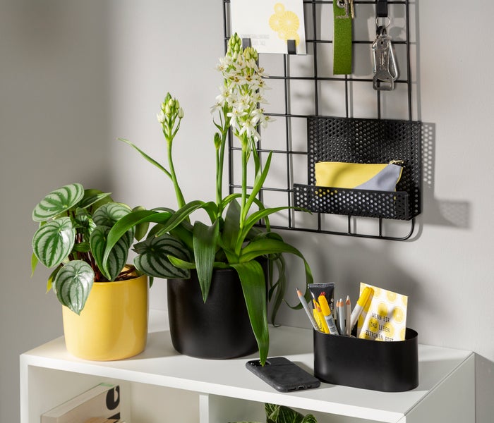 Scheurich Solido, Blumentopf aus Keramik,  Farbe: Solare, 17,6 cm Durchmesser, 16 cm hoch, 3,1 l Vol.