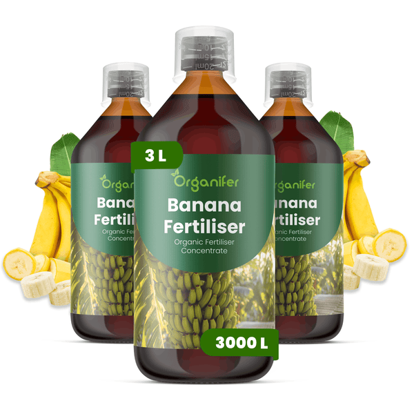 Drei Flaschen Organifer Bananendünger organisches Konzentrat, Organifer Logo, je drei Liter, für dreitausend Liter Dünger.