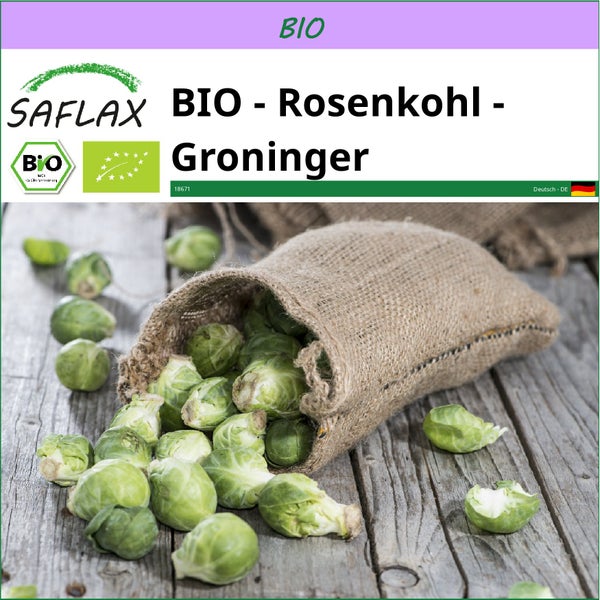 SAFLAX  - BIO - Rosenkohl - Groninger - Brassica oleracea var. gemmifera - 30 Samen