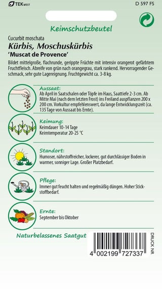 Samenpackung Moschuskuerbis Sorte Muscat de Provence