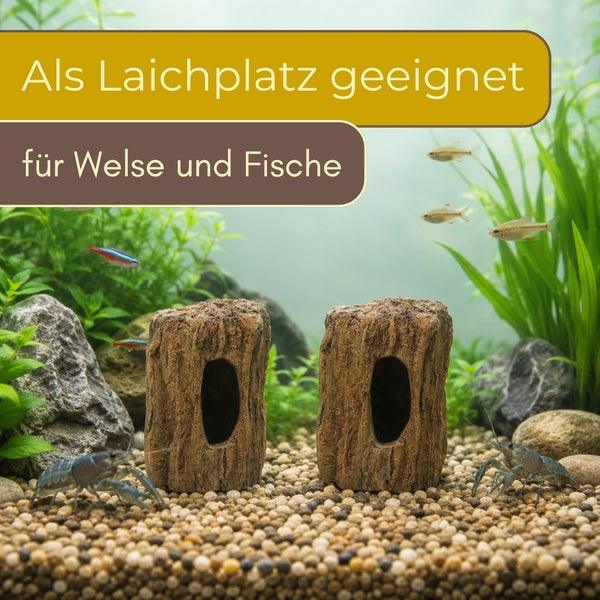 Aquariumdekoration in Baumstammoptik, zwei Stück, als Laichplatz für Welse und Fische geeignet, in einem bepflanzten Aquarium mit Fischen.