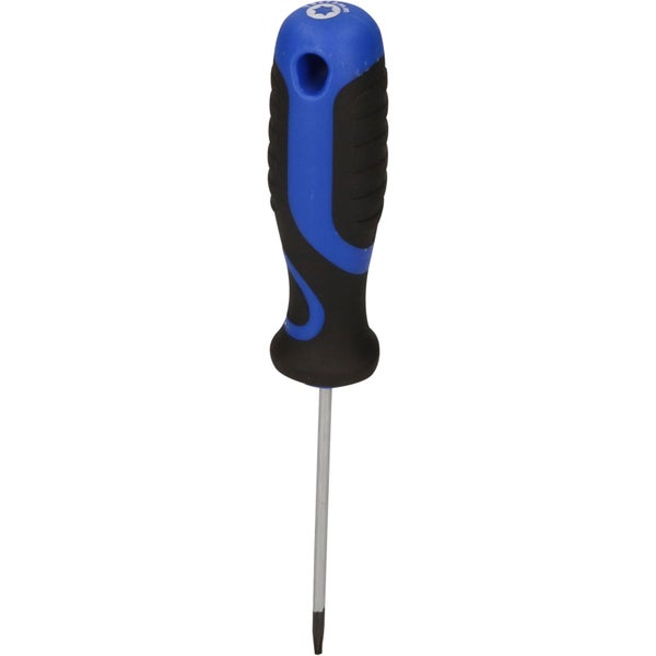Torx-Schraubendreher mit Griff