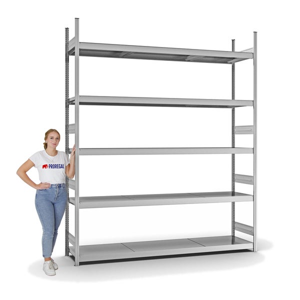 PROREGAL Weitspannregal Stecksystem T-Profil Grundregal HxBxT 300x250x50 cm 5 Ebenen Stahlplatten Fachboden Fachlast 350 kg Verzinkt
