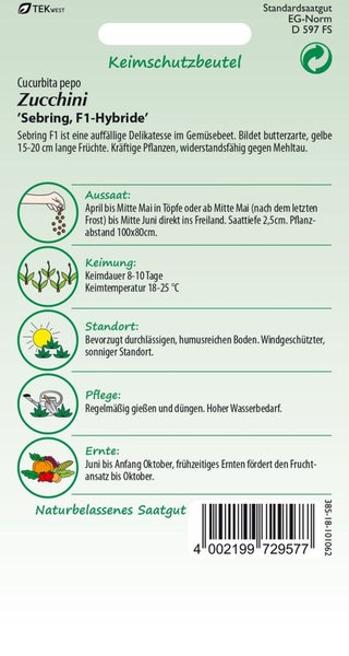 Saatguttüte Zucchini Sebring F1-Hybride