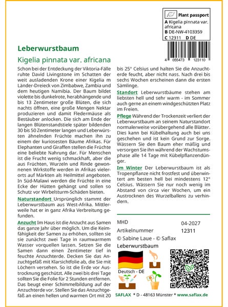 SAFLAX Geschenk Set - Leberwurstbaum - Kigelia pinnata var. africana - 10 Samen - Mit Geschenkbox, Versandaufkleber, Geschenkkarte und Anzuchtsubstrat