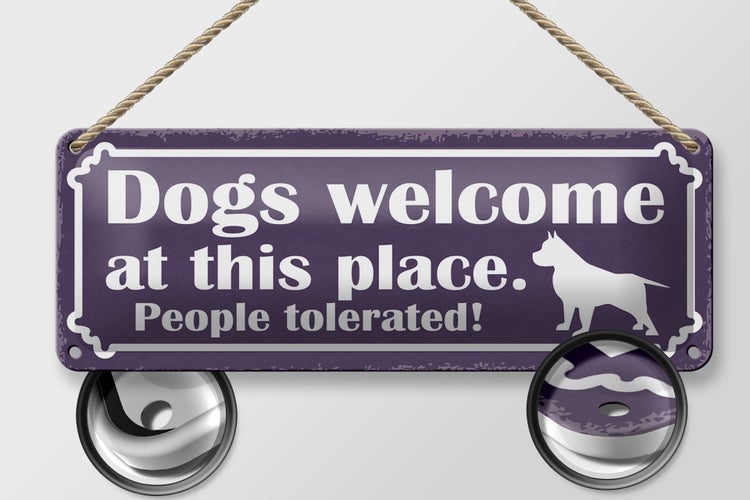 Blechschild Spruch 27x10cm Dogs welcome People tolerated Dekoration