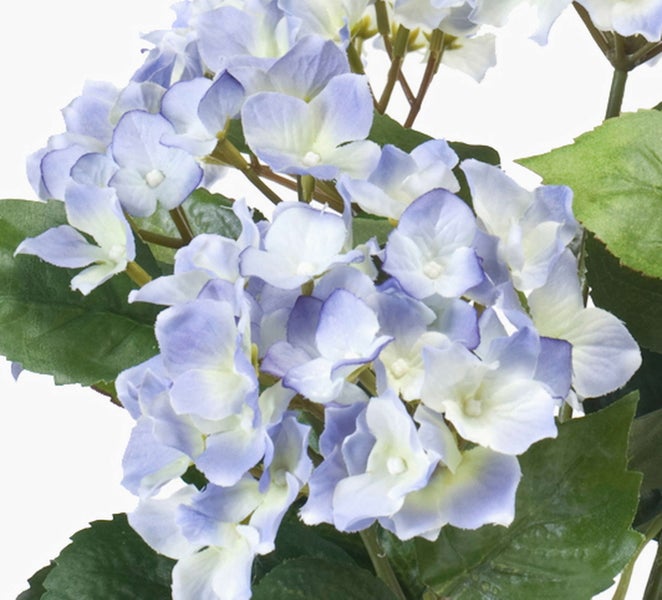 Künstliche Hortensie mit grünen Blättern und hellblauen Blüten.