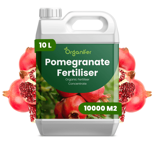 Organifer Granatapfeldünger, biologisches Düngerkonzentrat im 10 Liter Kanister für 10000 Quadratmeter, Organifer Logo.