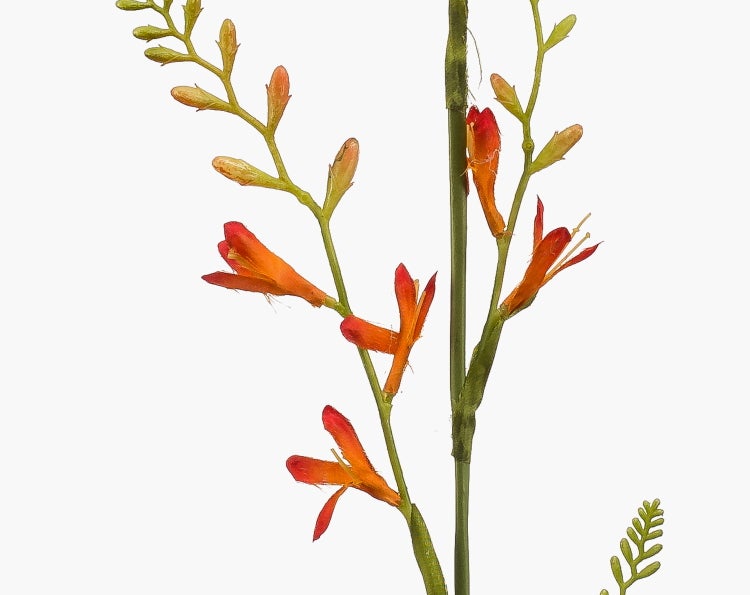 Künstlicher Crocosmia Zweig mit orangefarbenen Blüten und grünen Knospen.
