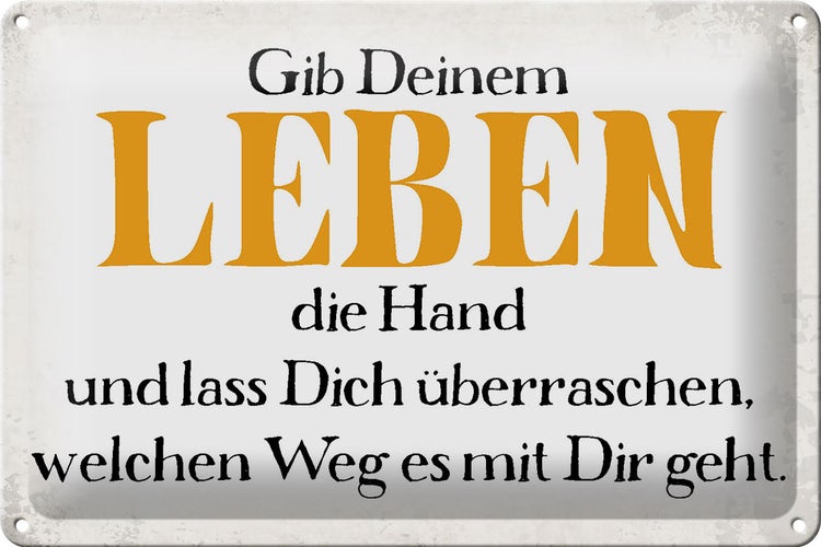 Blechschild Spruch 30x20cm gib deinem Leben die Hand