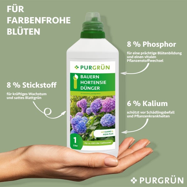 Purgrün Bauernhortensie-Dünger 1 Liter