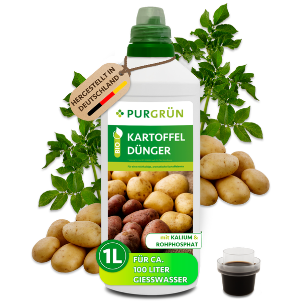 Purgrün Kartoffeldünger in einer 1 Liter Flasche für circa 100 Liter Gießwasser mit Kalium und Rohphosphat für den Bio-Anbau geeignet.