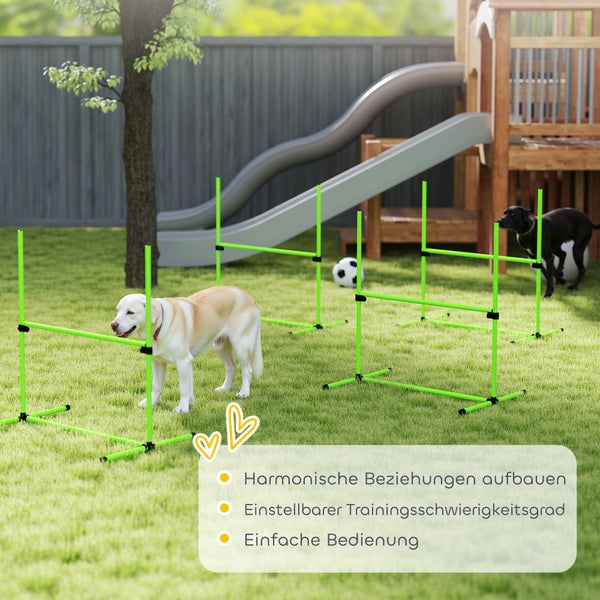Hundetraining im Garten mit höhenverstellbaren Hürden, zwei Hunde beim Agility-Training auf Rasenfläche vor einem hölzernen Spielturm.