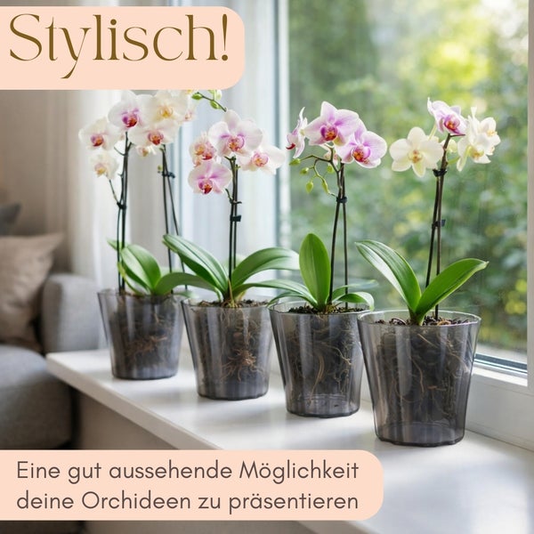 Vier Orchideen in Blumentöpfen auf einer Fensterbank.