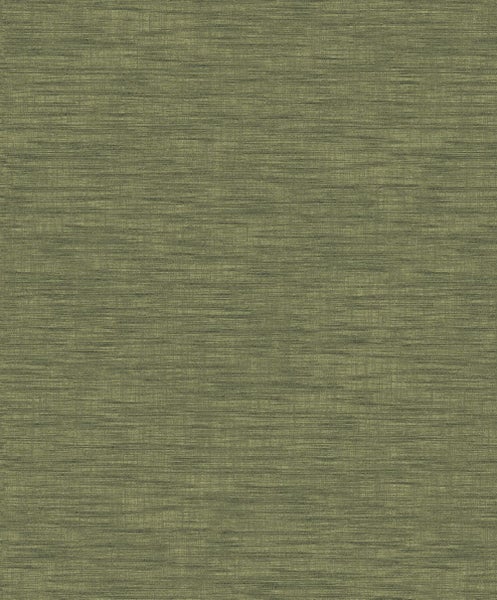 Nahaufnahme von Zweigen einer Hemlocktanne mit Zapfen.