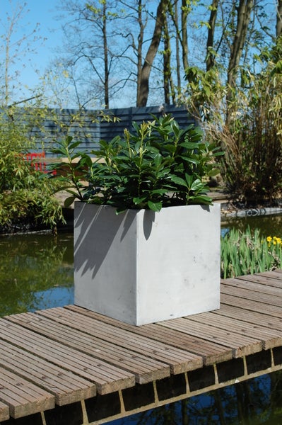 Quadratischer Pflanzkübel in Betonoptik mit Pflanze auf einem Holzsteg an einem Teich im Garten.