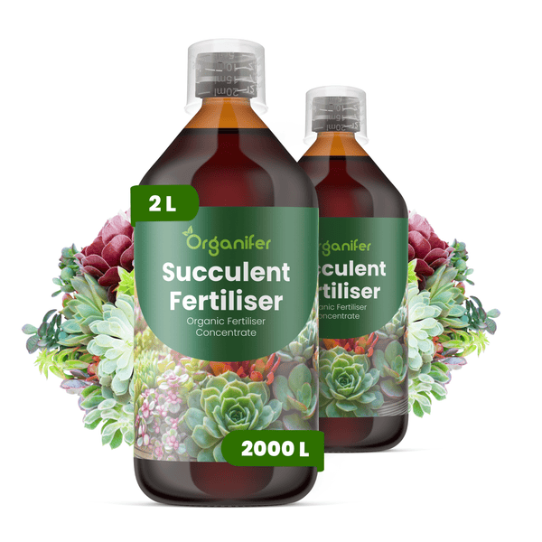 Zwei Flaschen Organifer Sukkulentendünger, organisches Düngerkonzentrat, 2 Liter.