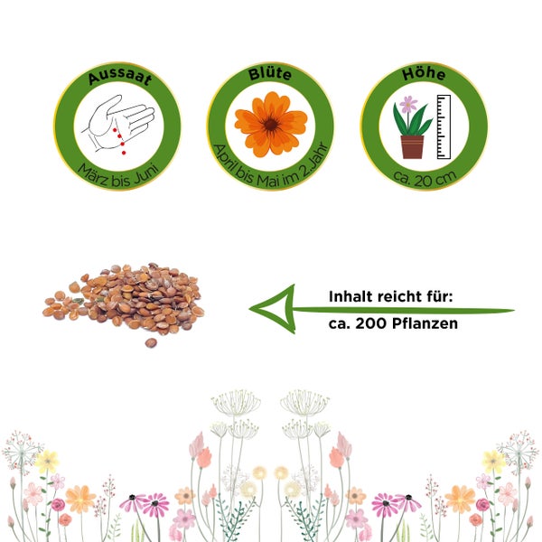 Saatgut-Informationen: Aussaat März bis Juni, Blüte April bis Mai im zweiten Jahr, Wuchshöhe circa 20 Zentimeter, Inhalt für circa 200 Pflanzen.