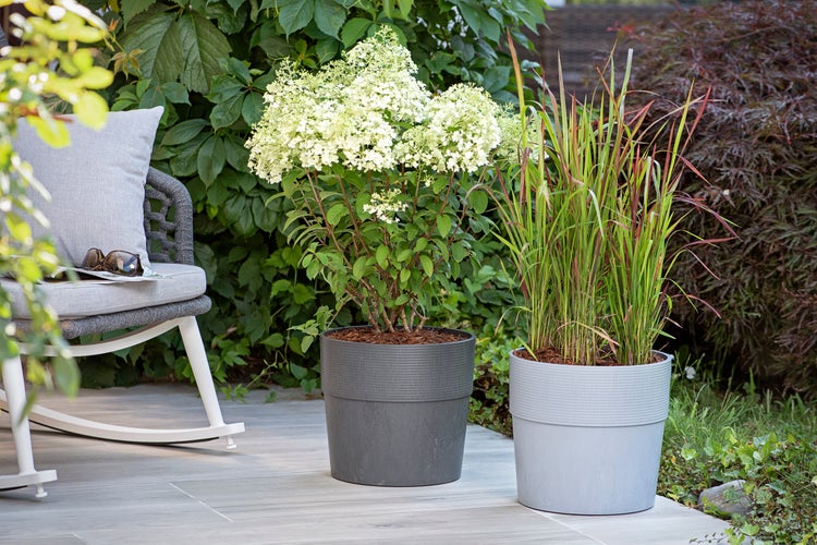 Zwei runde Kunststoffpflanzkübel in unterschiedlichen Grautönen auf einer Terrasse mit Gartenstuhl und Pflanzen.