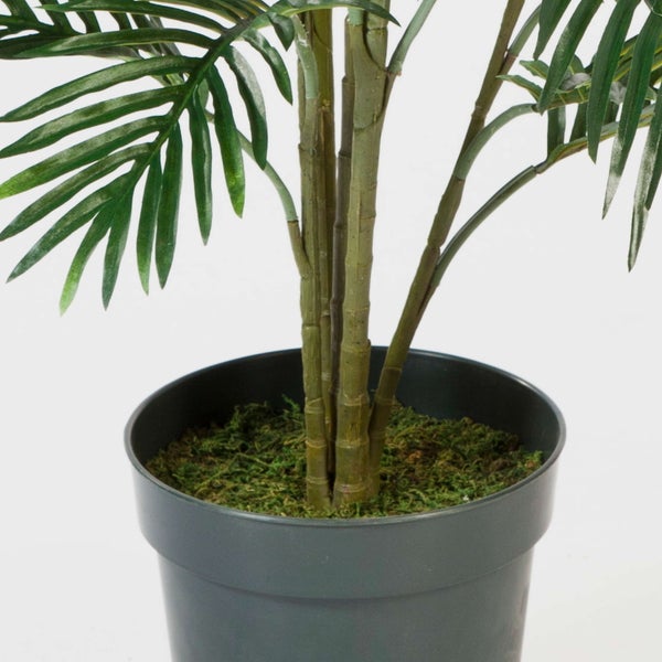 Nahaufnahme einer künstlichen Fittonia mit grün-weißen Blättern und ausgeprägter Aderung.