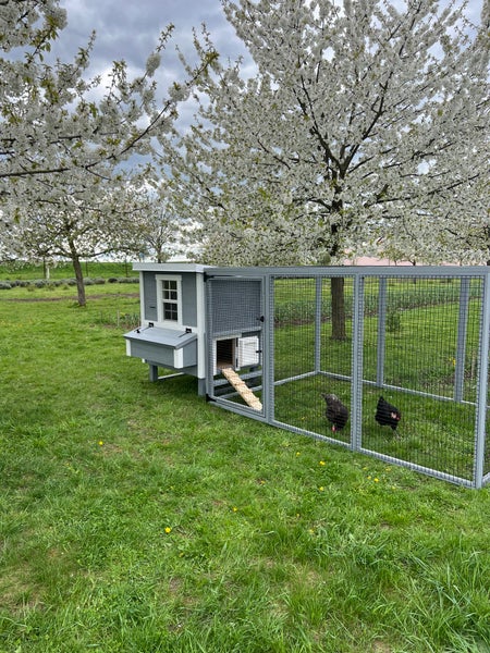 Hühnerauslauf Mitte EZ Chicken Home Grau 5,84m² 208 x 300 x 154 cm hergestellt in EU