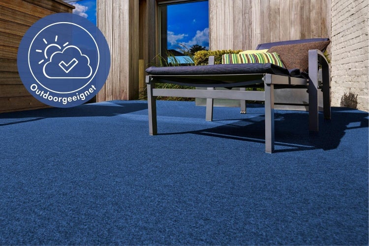 Dekoratives Ziergras mit schmalen Blättern